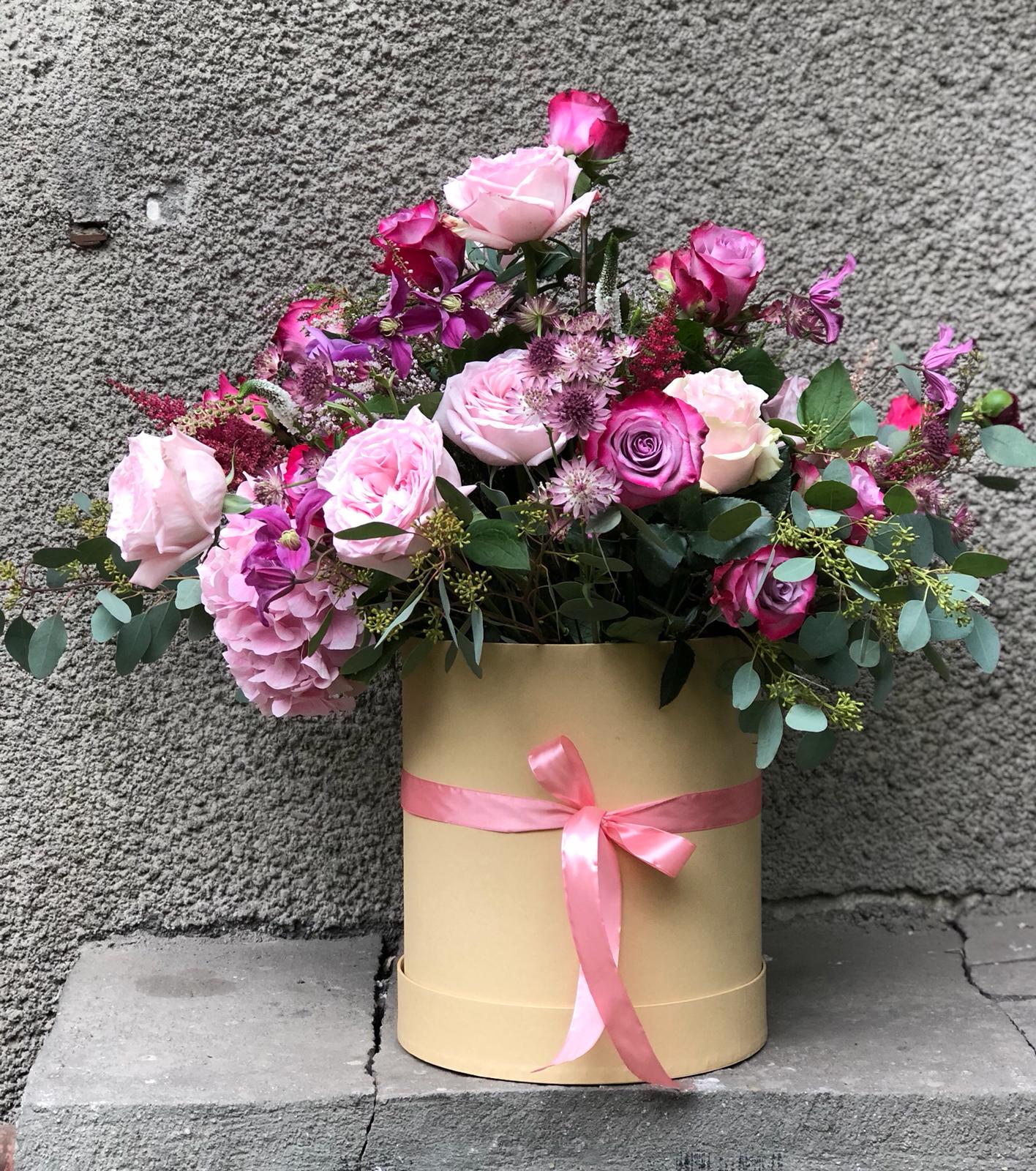 Cutie Rotunda Color Vibes