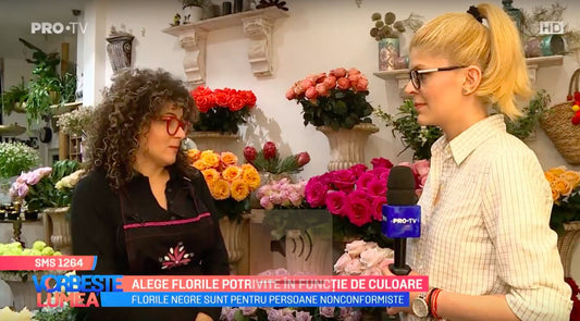 Simolistica culorilor florilor – „Vorbeste Lumea” PROTV