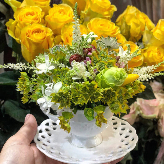 Sunshine Cup