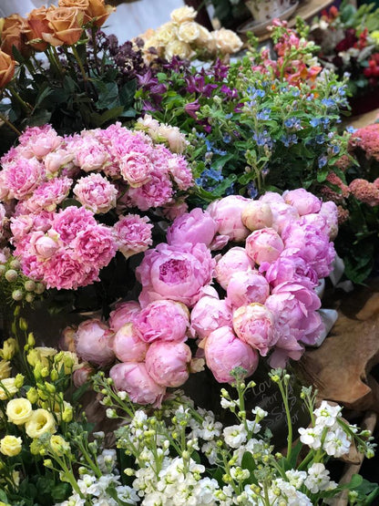 Weekly Flowers