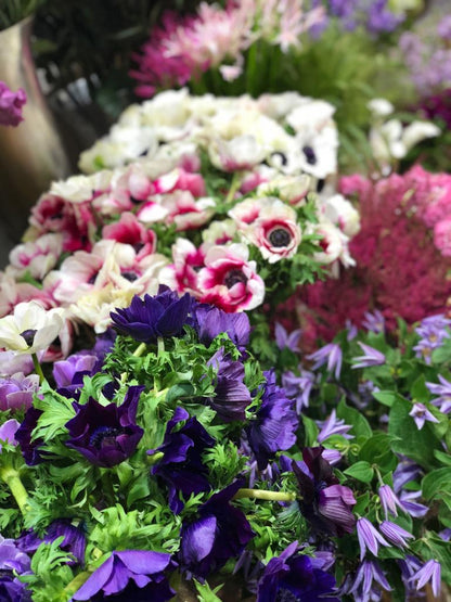 Weekly Flowers