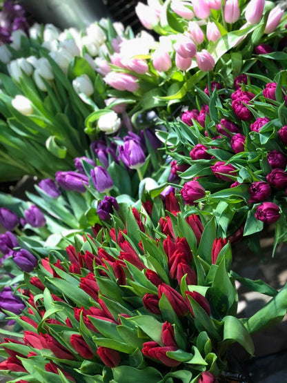 Weekly Flowers