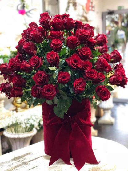 Valentine's Day Collection